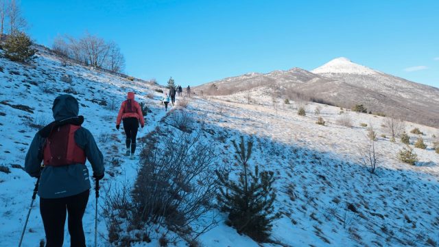 Pročitajte više o članku Svilaja