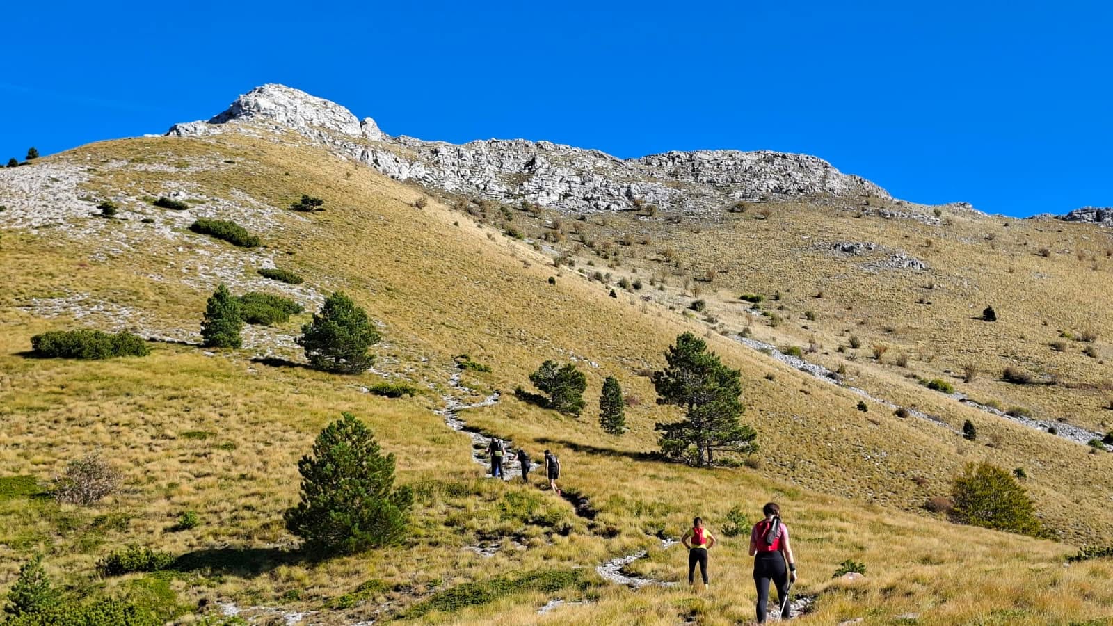 Trenutno pregledavate Velebit: NP Paklenica & Sveto Brdo